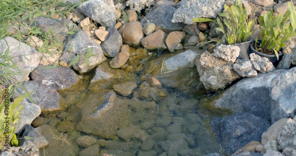 Small stream in the garden. water flowing through rocks.Water flows over the stones overgrown with moss. Small stream in the garden. water flowing through rocks.Water flows over the stones overgrown with moss.