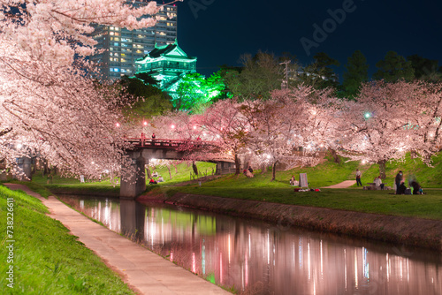 岡崎城と桜