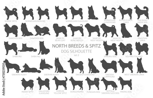 Dog breeds silhouettes simple style clipart. North breeds and Spitz collection