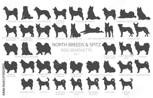 Dog breeds silhouettes simple style clipart. North breeds and Spitz collection