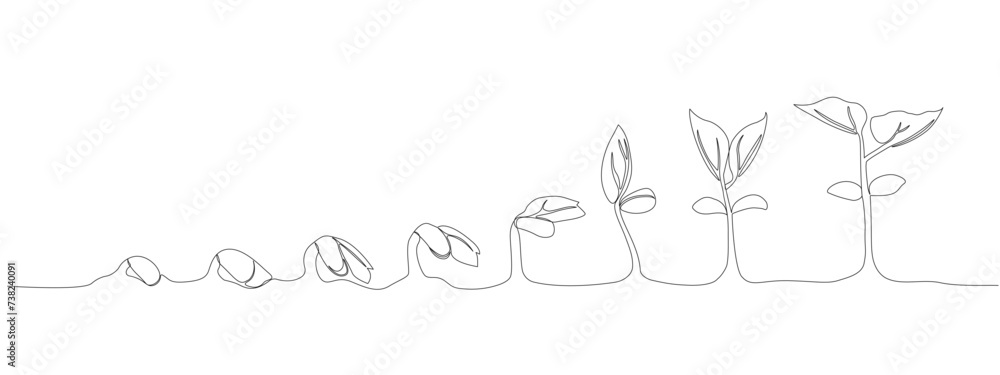 Continuous single line drawing infographic about planting and growth stage of a plant . Seeds sprouting in the ground. Icons Sprouts, plants, trees are growing . Single line vector illustration Continuous single line drawing infographic about planting and growth stage of a plant . Seeds sprouting in the ground. Icons Sprouts, plants, trees are growing . Single line vector illustration