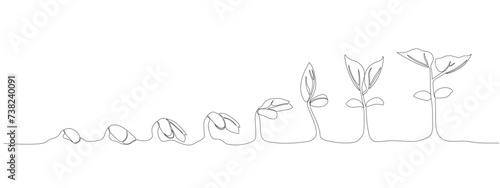 Continuous single line drawing infographic about planting and growth stage of a plant . Seeds sprouting in the ground. Icons Sprouts, plants, trees are growing . Single line vector illustration