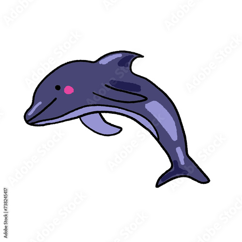 Hand-drawn dolphin on a white background