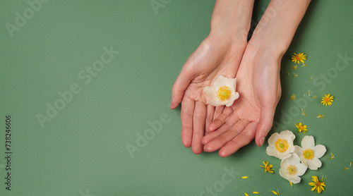 Female hands and meadow flowers on a green background. View from above.