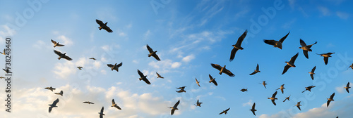 Freedom Captured in Flight: A Sublime Encounter with Birds Soaring in the Azure Sky © Fanny