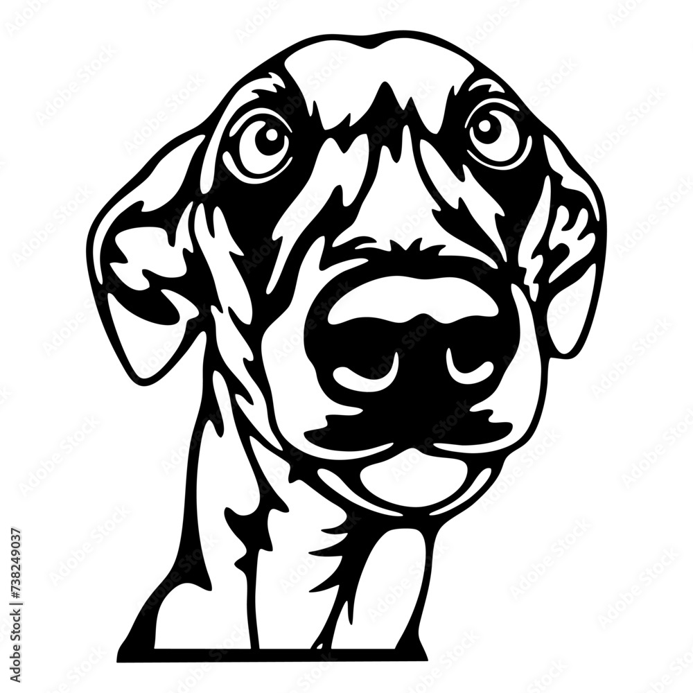 Peeking Fox Terrier Smooth - Dog lover owner gift - Dog cut file - Peeking Dog Cut Stencil