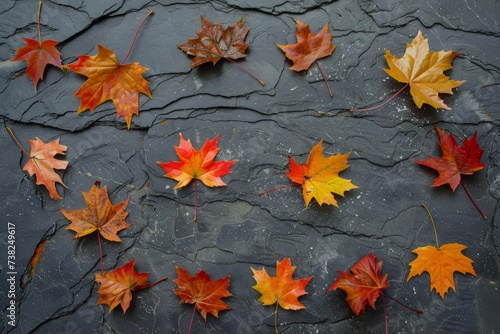 Autumn leaves on textured slate background. seasonal Colorful display