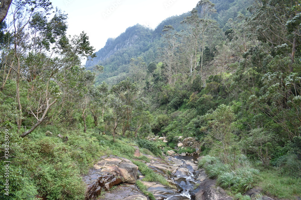 A waterfallwater stream in Devil's Staircase, Ohiya, Sri Lanka. A waterfallwater stream in Devil's Staircase, Ohiya, Sri Lanka.