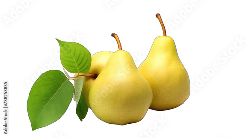 Asian pear png / transparent