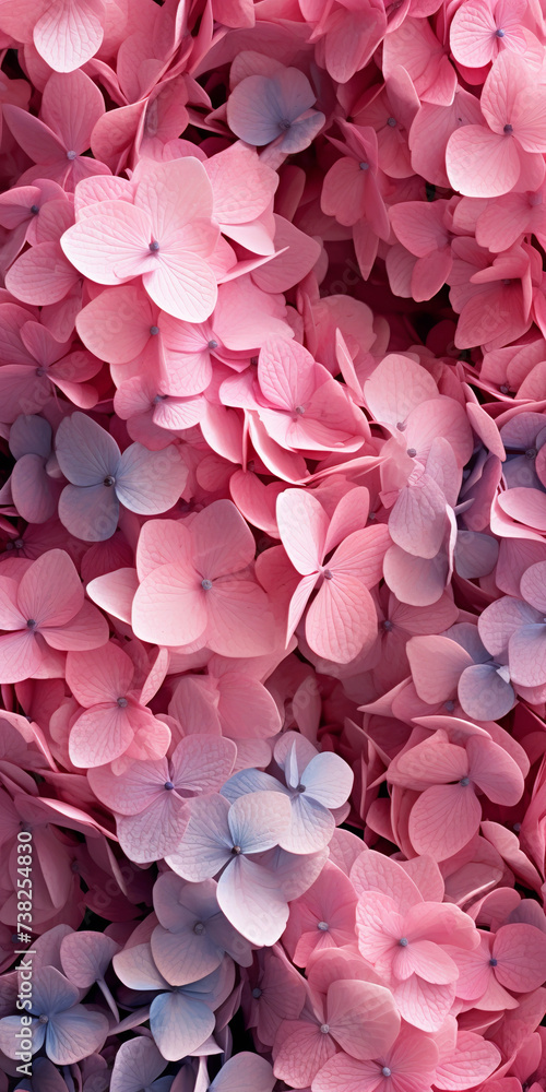 Obraz premium photorealistic background made of beautiful hydrangeas, flat lay