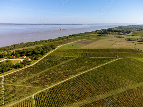 Aerial view on vineyards, Gironde river, wine domain or chateau in Haut-Medoc red wine making region, , Bordeaux, left bank of Gironde Estuary, France