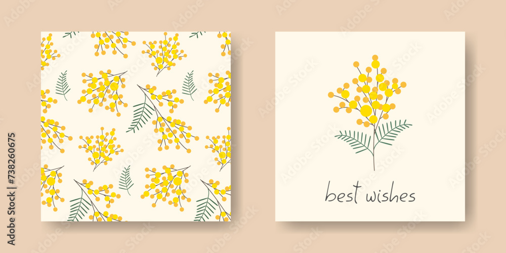 Naklejka premium Set of greeting cards. Cute branches Mimosa bouquet. Spring simple floral flat design background. Template card, invitation, poster. Best wishes hand lettering