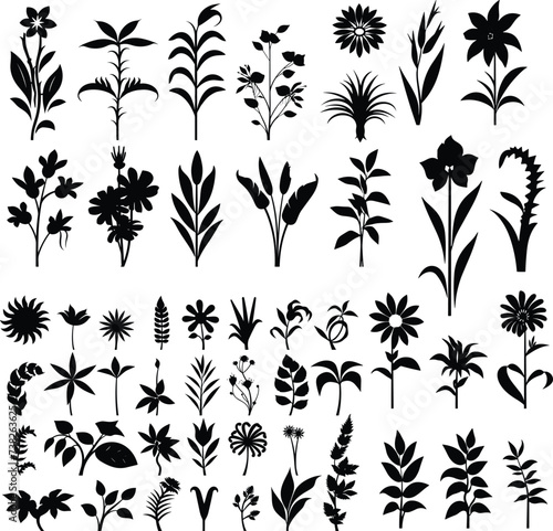 set of  black and white tropical Flower silhouette vector illustration plant leaf isolated summer decoration botanical hibiscus elements © Design Your Story
