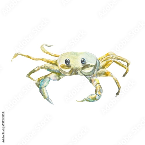 Yellow sand crab, watercolor. Illustration on a marine theme, isolated on a white background. Cards, sea banners, labels, aquarium templates.