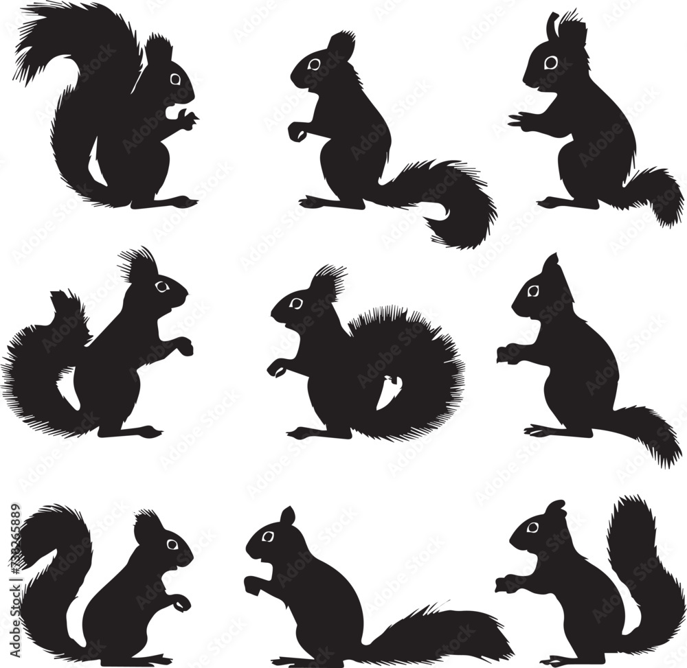 Set of Squirrel animal black silhouettes 