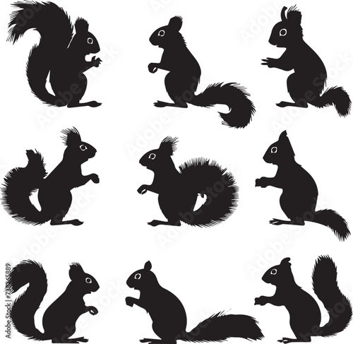 Set of Squirrel animal black silhouettes 