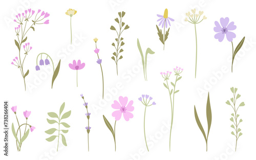 Meadow blossom flower set. Warmful colors. Hand drawn isoldated elements.