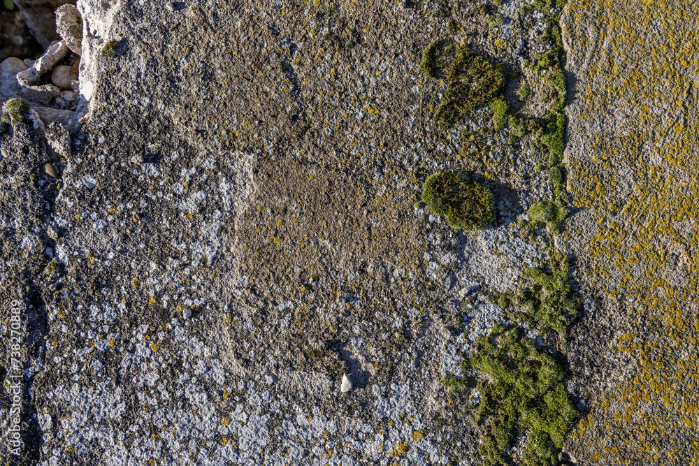 A cement surface with moss, stains and broken stones A cement surface with moss, stains and broken stones