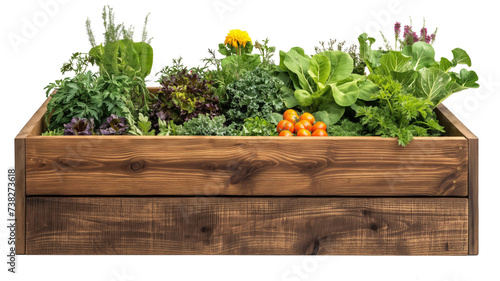 a Raised Bed with growing vegetables and herbs, a side view in a PNG, in a Gardening-themed, isolated, and transparent photorealistic illustration. Generative ai