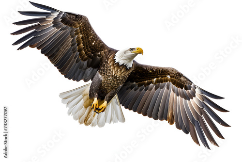 illustration of an eagle on a white background, majestic eagle on fly, Generative Ai  © Xpert