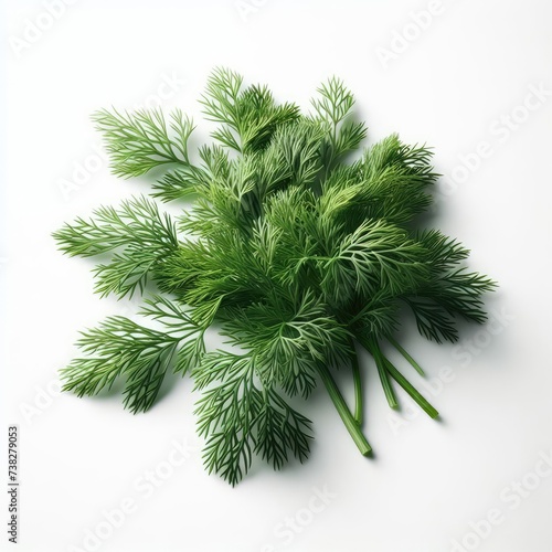 green tree isolated on white 