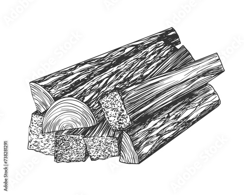 Pile of pine firewood isolated on a white background. Black and white hand drawn firewood. Fireplace log. Sketch style vector illustration