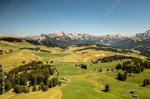 Italian alps and meadow