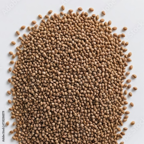 buckwheat on the white background
