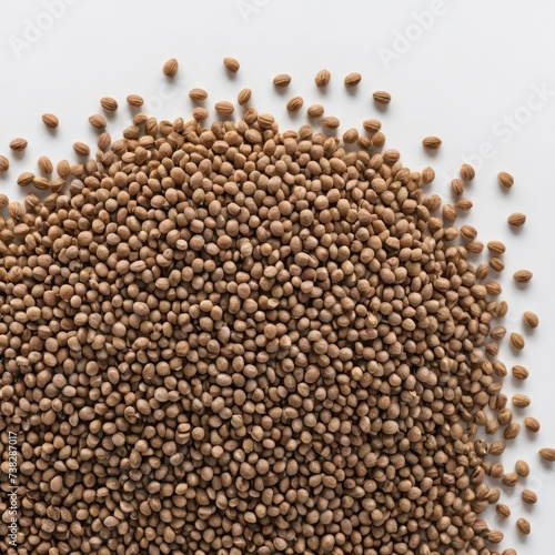 buckwheat on the white background 
