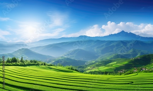 rice field in the mountains © BetterPhoto