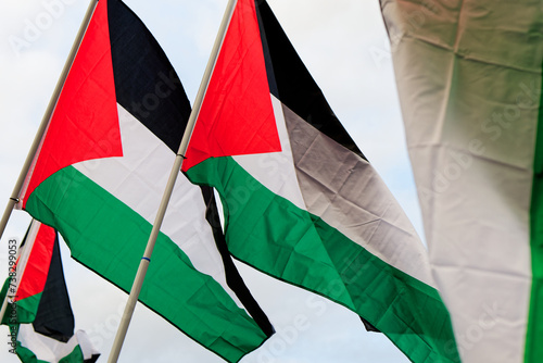Bild auf Leinwand Pro-Palestinian protests