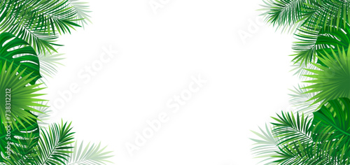 Amazon foliage vector background. tropical rainforest border frame with exotic tropic leaves, jungle plants and grass. Summer, travelling vacation card for textile print, invitation and promo designs