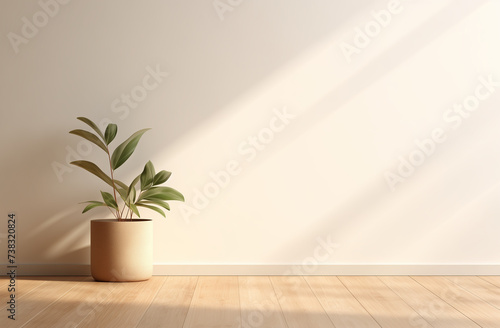 An empty room with a plant, a light parquet and a bright window