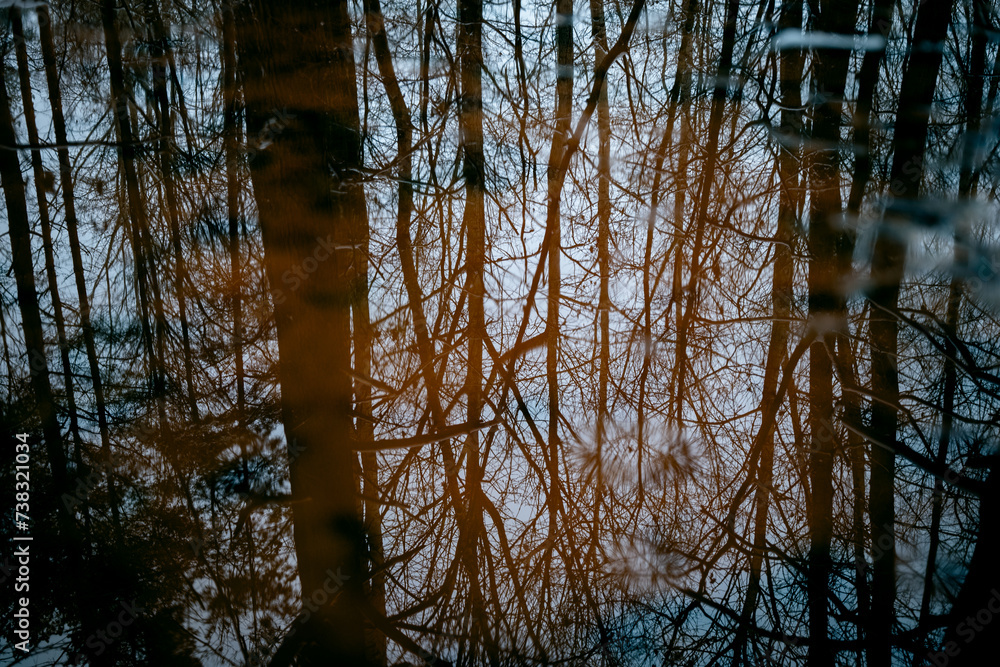 reflection in a forest lake in winter reflection in a forest lake in winter
