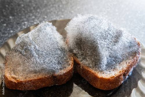 Pieces of moldy rye bread, close-up. Fungal mold Aspergillus niger on food