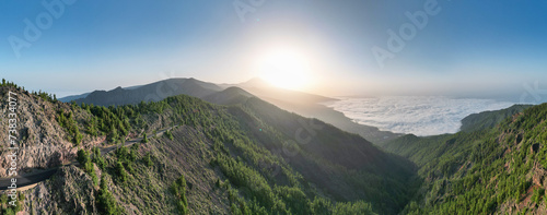 Panoramic aerial view of the pine forest in Teide National Park, Tenerife