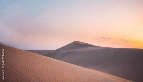 Dunes in dry desert nature panorama landscape