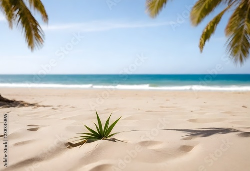  A close-up view of a sandy beach with palm tree leaves in the upper corners and ocean horizon in the background