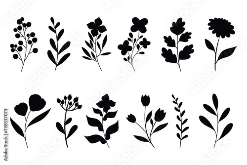 Leaves, flowers and branches silhouettes set. Wild plants and garden flowers silhouettes on white background