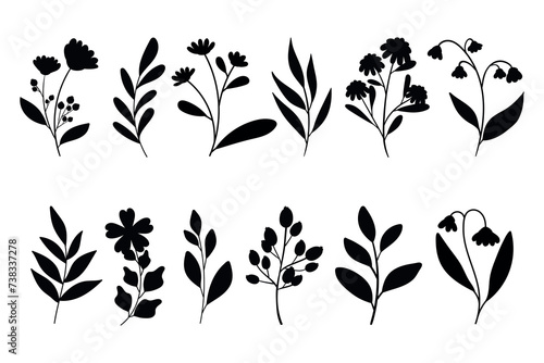 Leaves, flowers and branches silhouettes set. Wild plants and garden flowers silhouettes on white background