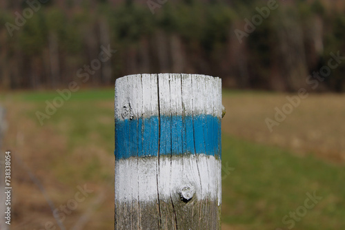 Znak niebieskiego szlaku namalowany na słupku na łące. W tle las.