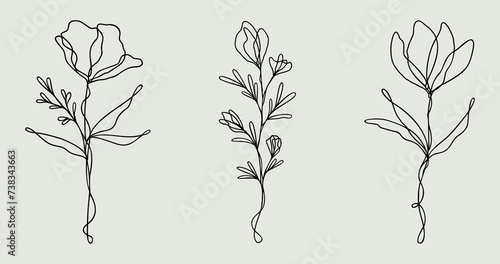 Floral Line Art Set | Flower Vector Bundle Of 3 | Botanical Nature Designs	 #738343663
