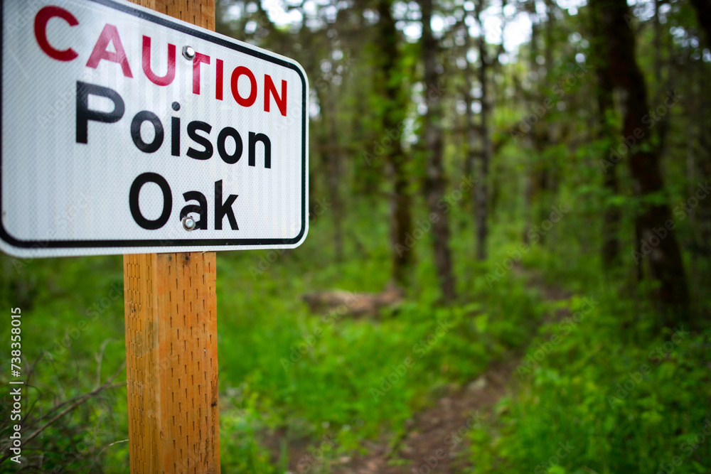 Proceed with Caution: 4K Ultra HD Image of Warning Sign for Oak Poison on Footpath Trail Proceed with Caution: 4K Ultra HD Image of Warning Sign for Oak Poison on Footpath Trail