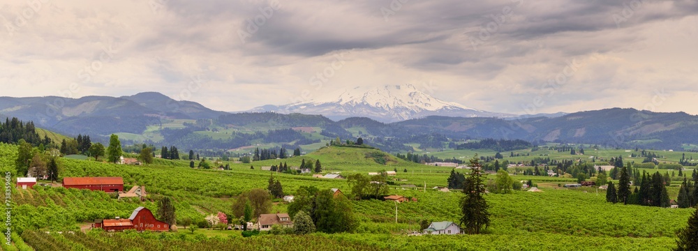 Spring Splendor: Mt. Hood and Orchard Valley Panorama in Oregon, USA (4K Ultra HD)