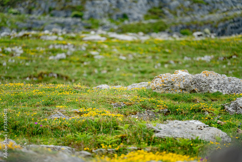 Spectacular landscape in the Burren region of County Clare, Ireland. Exposed karst limestone bedrock at the Burren National Park. © MNStudio