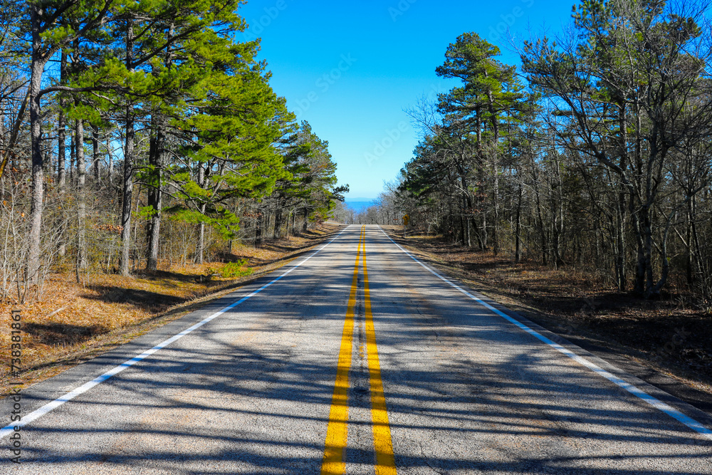Fototapeta premium Looking down Mount Magazine Drive.