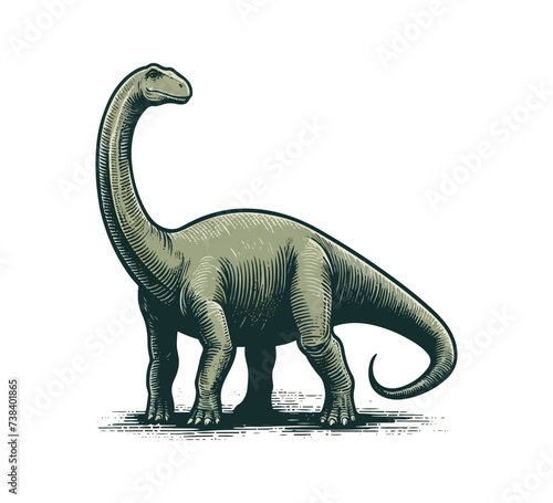 Fototapeta Naklejka Na Ścianę i Meble -  Brachiosaurus hand drawn illustration vector graphic