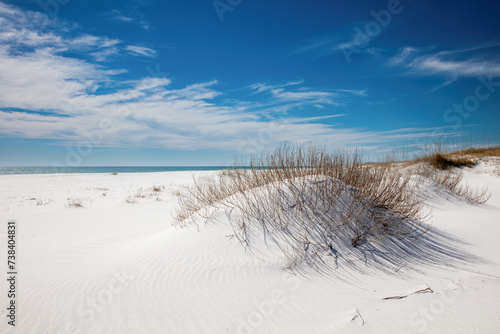 "The Perfect Beach"