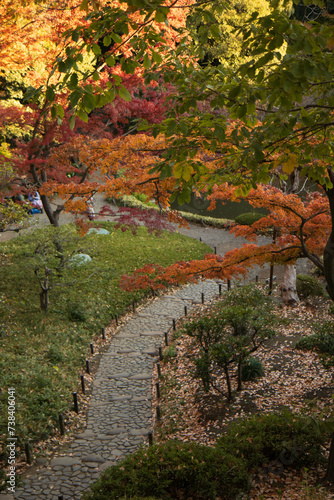 path in autumn forest