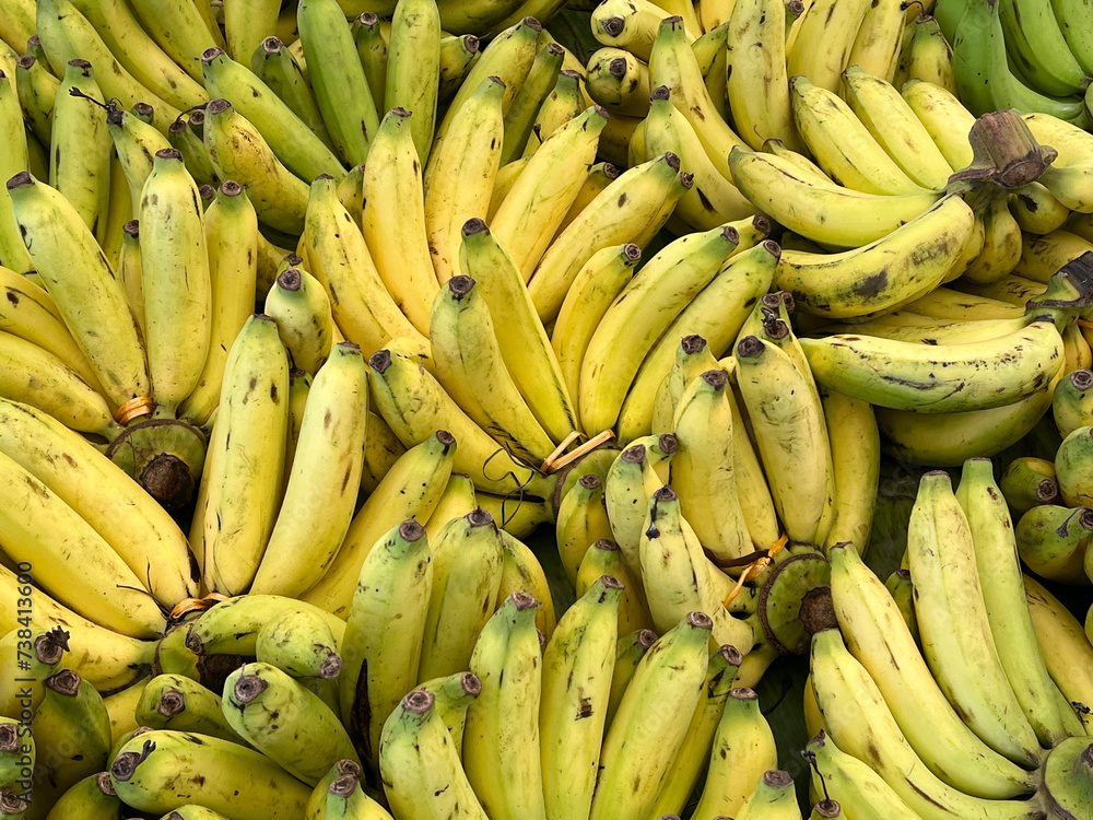 many bananas in market